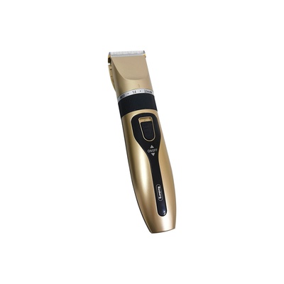 Uzlādējama matu mašīnīte Rosberg R51810K, USB, 5W, Champagne krāsa 55R51810KC