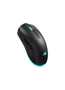 Pele Baracuda BGM-121 Turtle Black Hover