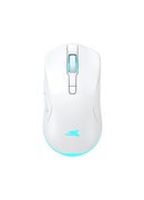 Pele Baracuda BGM-122 Turtle White