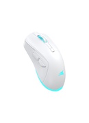 Pele Baracuda BGM-122 Turtle White Hover