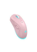 Pele Baracuda BGM-124 Turtle Pink Hover