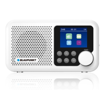  Blaupunkt DR8WH
