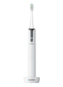 Birste Blaupunkt DTS511