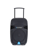  Blaupunkt PA12