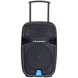  Blaupunkt PA12