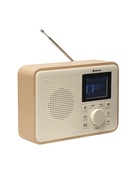  Denver DAB-60LW Greenline Lightwood
