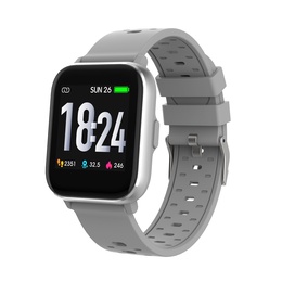 Viedpulksteni Denver SW-162 grey