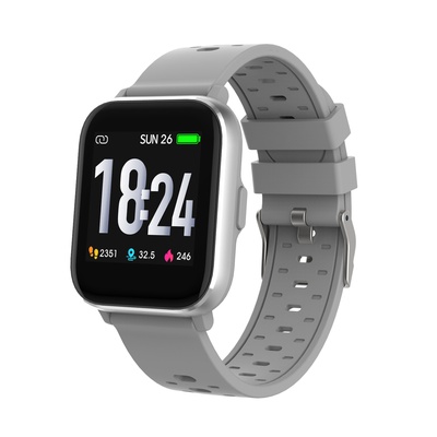 Viedpulksteni Denver SW-162 grey