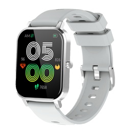 Viedpulksteni Denver SW-181 Grey