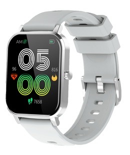 Viedpulksteni Denver SW-181 Grey  Hover