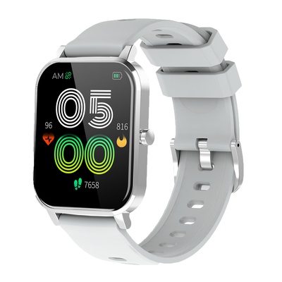 Viedpulksteni Denver SW-181 Grey