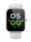 Viedpulksteni Denver SW-181 Grey Hover