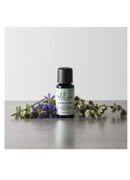  Ellia ARM-EO15WD-WW Wind Down 100% Pure Essential Oil - 15ml Hover