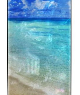  iKins case for Apple iPhone 8/7 beach black  Hover