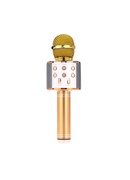  Manta MIC10-G Gold Hover