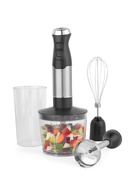Blenderis Salter EK6653VDE 4 in  Blender Set