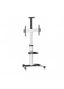  Sbox FS-446 (37-70/50kg/600x400)