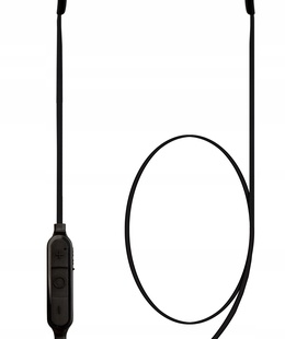 Austiņas Toshiba CoolVibe RZE-BT312E black  Hover