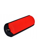  Toshiba Fab TY-WSP70 red