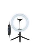  Tracer 46747 LED Ring Lamp 26cm