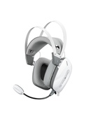 Austiņas White Shark GH-2446 Gottan White