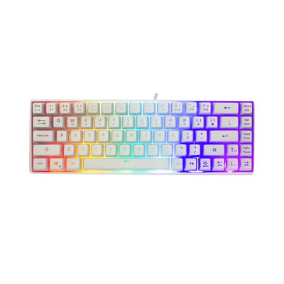Tastatūra White Shark GK-2201 RONIN White-US