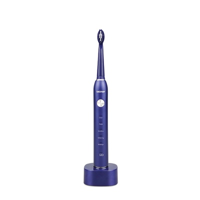 Birste Zelmer ZTB1010B