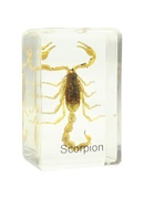  Sagatavots slaids - skorpions, Omegon