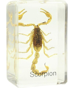  Sagatavots slaids - skorpions, Omegon  Hover