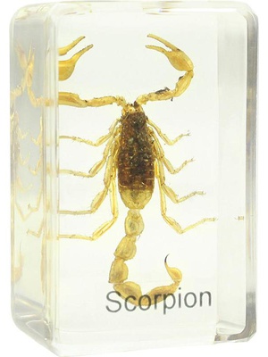  Sagatavots slaids - skorpions, Omegon  Hover