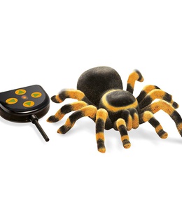  Tarantuls R/C, Buki, ar vadības pulti  Hover