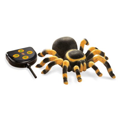  Tarantuls R/C, Buki, ar vadības pulti