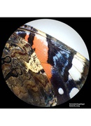  BRESSER Analyth STR 10x - 40x stereo microscope Hover