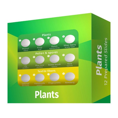  Levenhuk LabZZ P12 Plants Prepared Slides Set