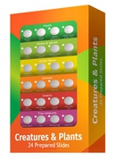  Levenhuk LabZZ CP24 Creatures & Plants Prepared Slides Set