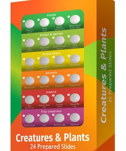  Levenhuk LabZZ CP24 Creatures & Plants Prepared Slides Set  Hover