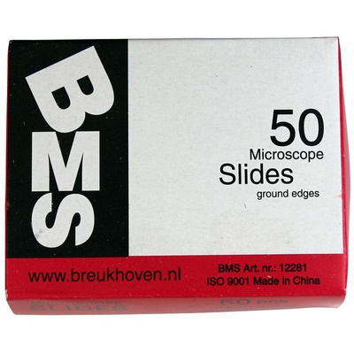  Windaus stikls 26x76 mm, pulētas malas, 50 gab.