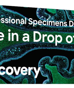  Mikropreparātu komplekts Discovery Prof DPS 5. "Dzīve ūdens pilē"  Hover