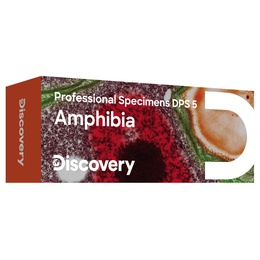  Discovery Prof paraugi DPS 5. “Amphibia”