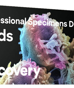  Discovery Prof DPS 5. Putnu slaidu komplekts  Hover