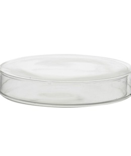  Stikla Petri trauciņa (nātrija-kaļķi) 60 mm/15 mm  Hover
