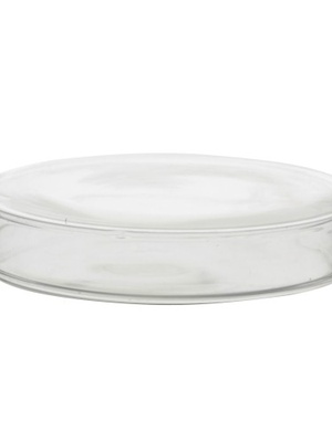  Stikla Petri trauciņa (nātrija-kaļķi) 60 mm/15 mm  Hover