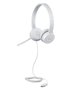 Lenovo | USB Headset | 110 Stereo | Yes | USB Type-A  Hover
