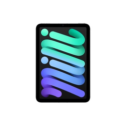  Apple iPad Mini (A17 Pro) | 8.3  | Space Gray | Liquid Retina | 2266 x 1488 pixels | 128 GB | Wi-Fi | Front camera | 12 MP | Rear camera | 12 MP | Bluetooth | 5.3 | iPadOS