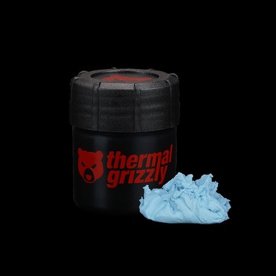  Thermal Grizzly Putty Advance