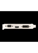  MSI | GT 710 2GD3H LP | NVIDIA | 2 GB | GeForce GT 710 | DDR3 | DVI-D ports quantity 1 | HDMI ports quantity 1 | PCI Express 2.0 x16 (uses x8) | Memory clock speed 1600 MHz | Processor frequency 954 MHz | VGA (D-Sub) ports quantity 1