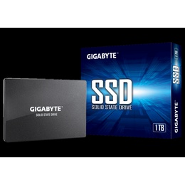  Gigabyte | GP-GSTFS31100TNTD | 1000 GB | SSD form factor 2.5-inch | Solid-state drive interface SATA | Read speed 550 MB/s | Write speed 500 MB/s