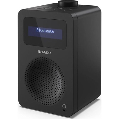  Sharp DR-430(BK) Digital Radio
