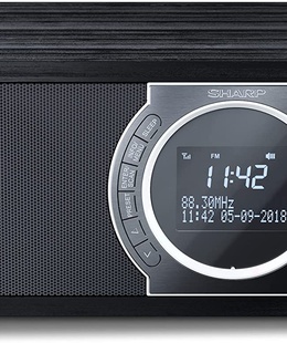  Sharp DR-450(BK) Digital Radio  Hover