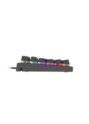 Tastatūra Genesis | THOR 303 | Black | Mechanical Gaming Keyboard | Wired | RGB LED light | US | USB Type-A | 1152 g | Outemu Red Hover
